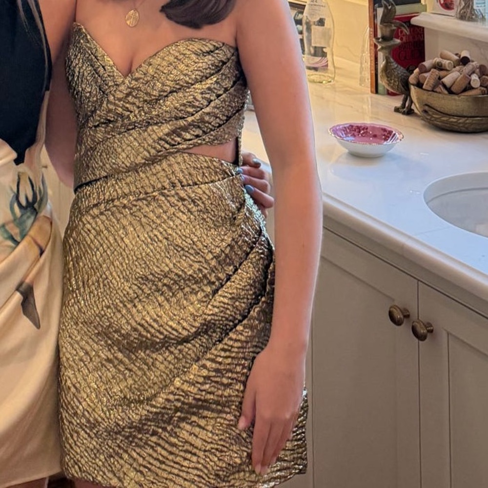 Aknvas Gold Mini Dress - Picture 7 of 7